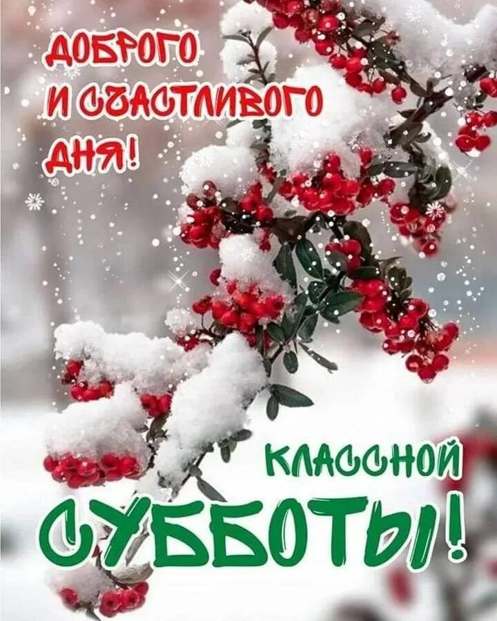 Открытки субботним зимним утром. Доброе зимнее утро. красивые зимние открытки. хорошего зимнего дня и отличного настроения. прекрасного зимнего дня и отличного настроения.