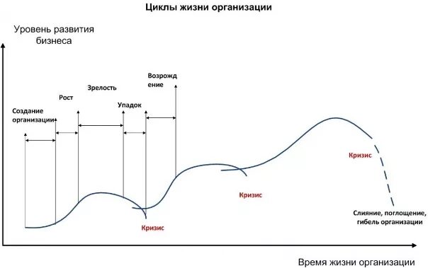 Книга жизненные циклы. Жизненный цикл компании Ауди. Жизненный цикл организации диаграмма. График жизненного цикла организации. График жизненного цикла предприятия.