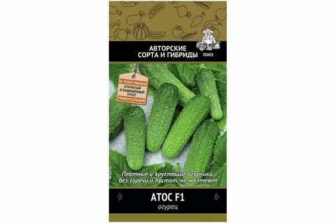 Сорт огурцов атос