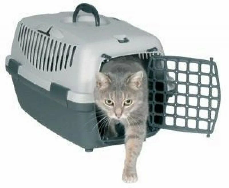 Предметы для ухода за кошкой. Переноски для котов. Клетка переноска для кошек. Переноска корзина для кошек. Контейнер для перевозки кошек.