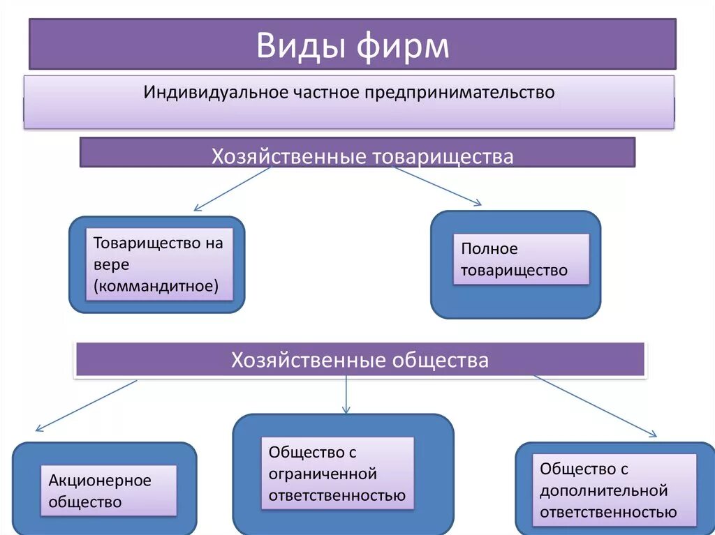 Предпринимательство общество 10 класс. Виды фирм. Виды фирм в экономике. Типы фирм в экономике. Фирма виды фирм.