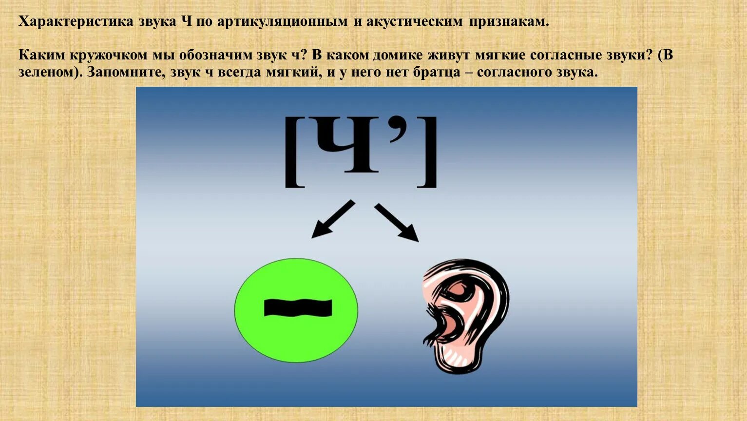 Первая характеристика звука. Характеристика звука ч. Акустические признаки звуков. Звук с характеристика звука. Презентация звук ч.