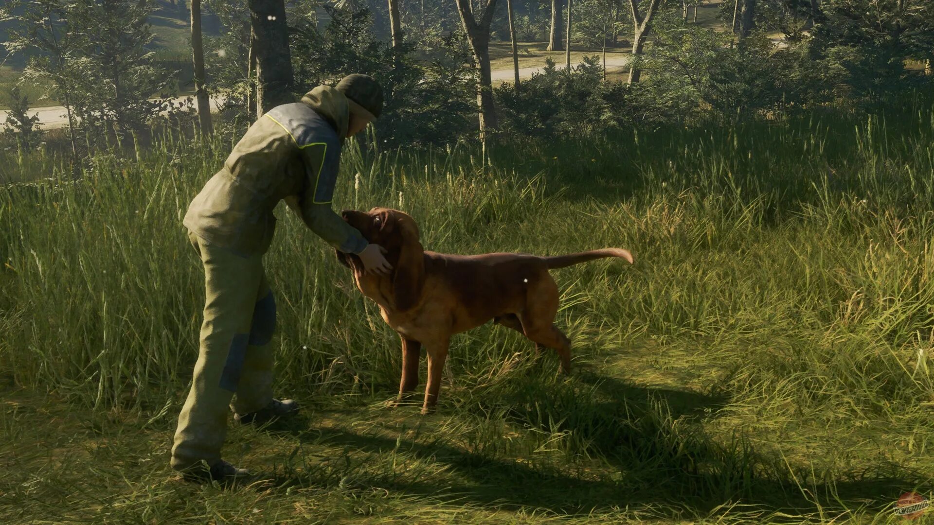 The hunter call of the wild мод. The hunter call of the wild собака. thehuntercallofthewild. call of the wild игра. thehunter call of the wild dlc.