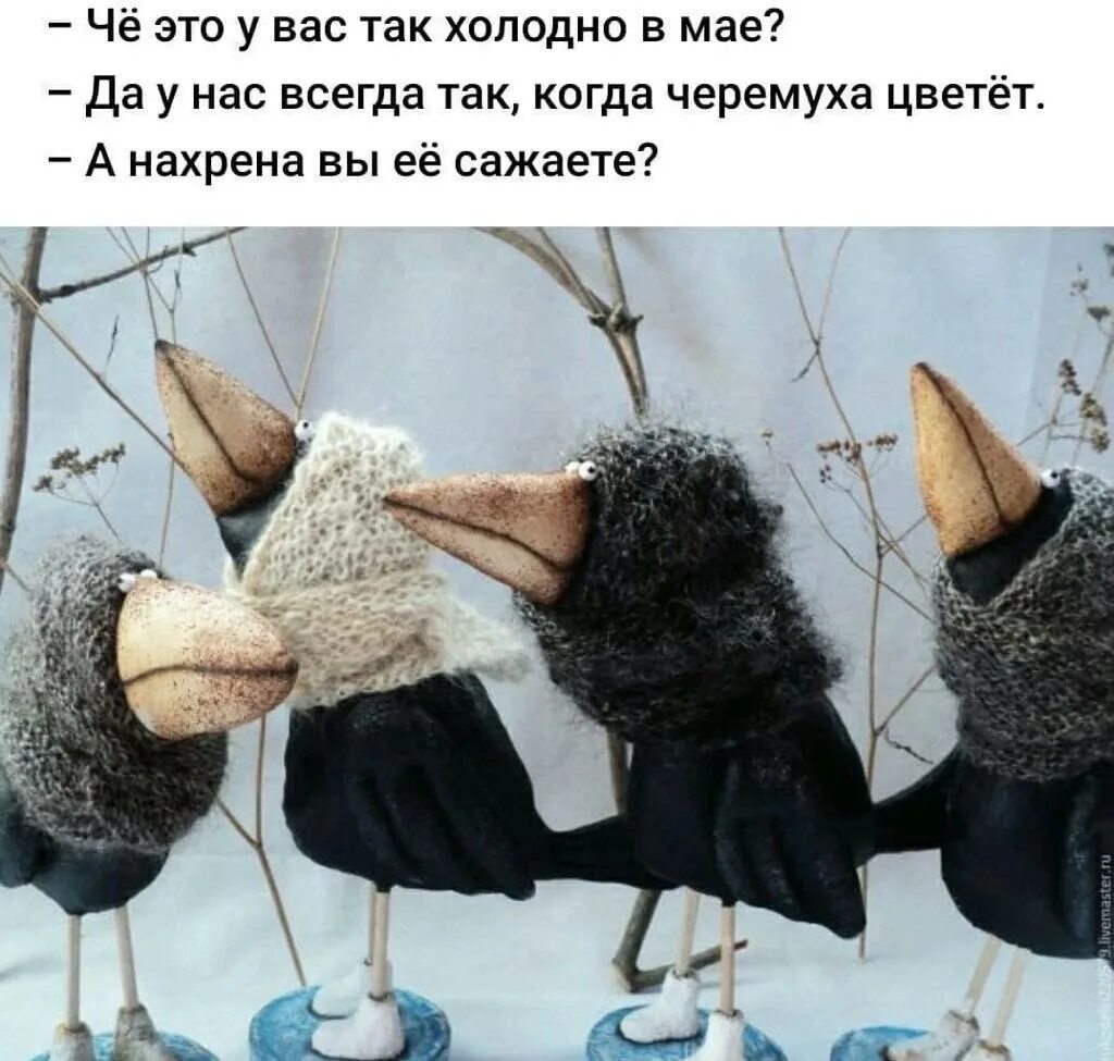 Почему мне холодно утром. Грачи прилетели и обалдели. холодно в мае. че это у вас так холодно в мае. приколы про холод.
