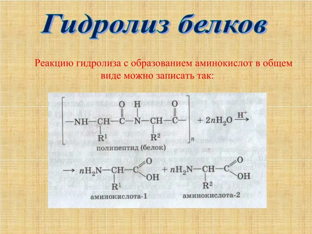 Белок вода реакция