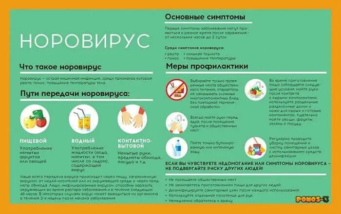 Могут ли взрослые болеть. Симптомы норовирусной инфекции. Норовирус и ротавирус разница. Симптомы норовирусной инфекции у взрослых. Профилактика норовирусной инфекции.