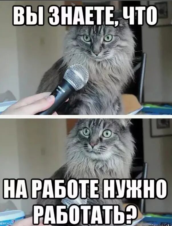 Как нужно работать. Мем про работу. мемы я на работе. а вы знали что на работе надо работать. работу надо работать мем.