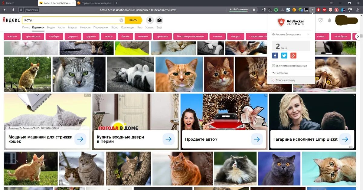 Browser реклама. Реклама яндекс браузера кот.