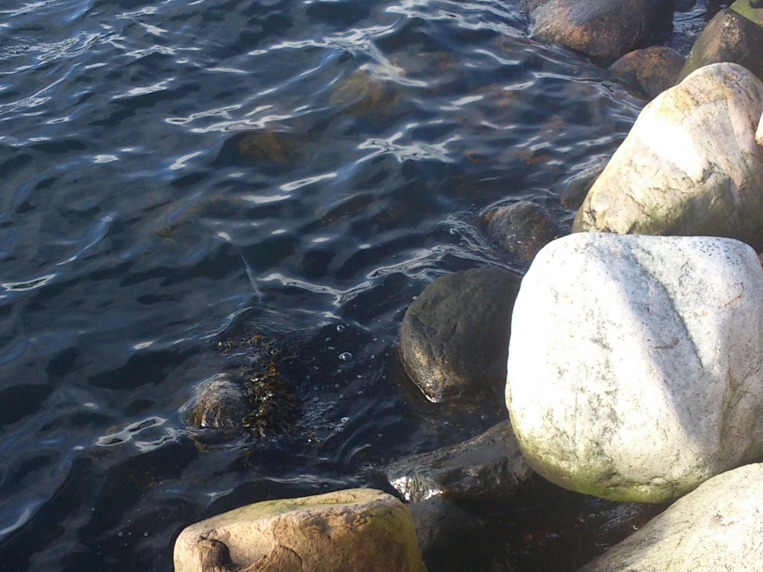 Игра вода камень. Булыжник в воде. Валун в воде. Камни в воде. Валуны на берегу реки.