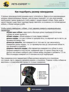 Как подобрать собаке намордник без примерки