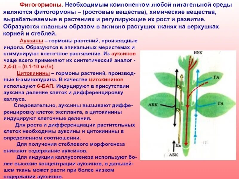 Регулируемое вещество