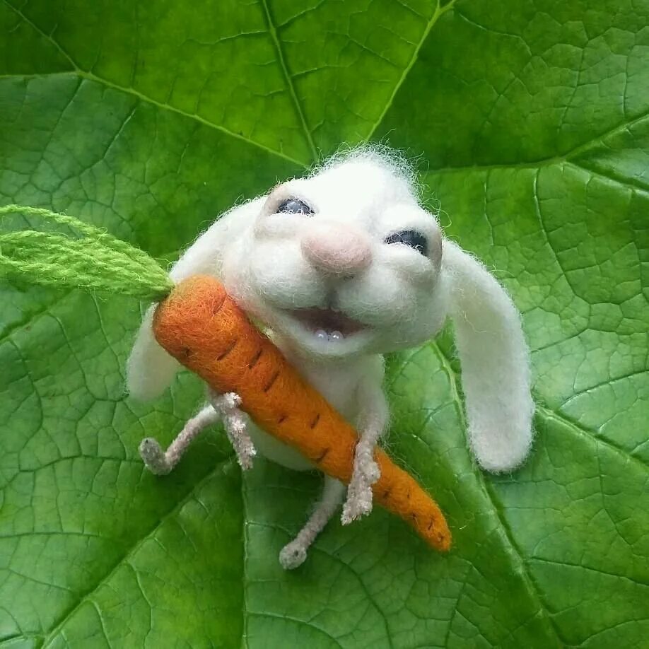 радостный зайчик. красивый кролик. радостный зайчик. радостный зайчик. английский вислоухий кролик.