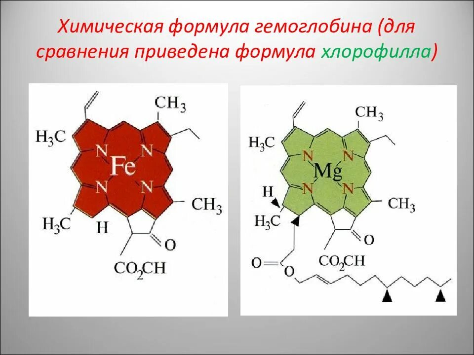 Напишите химическую формулу железа