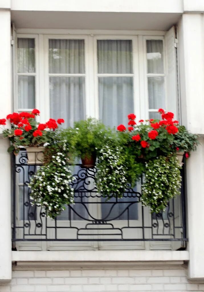 Цветы на балконе. Французский балкончик для цветов. Кованые балкончики для цветов. Ковка французские балкончики. Красивые окна.