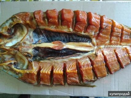 Копчение толстолобика
