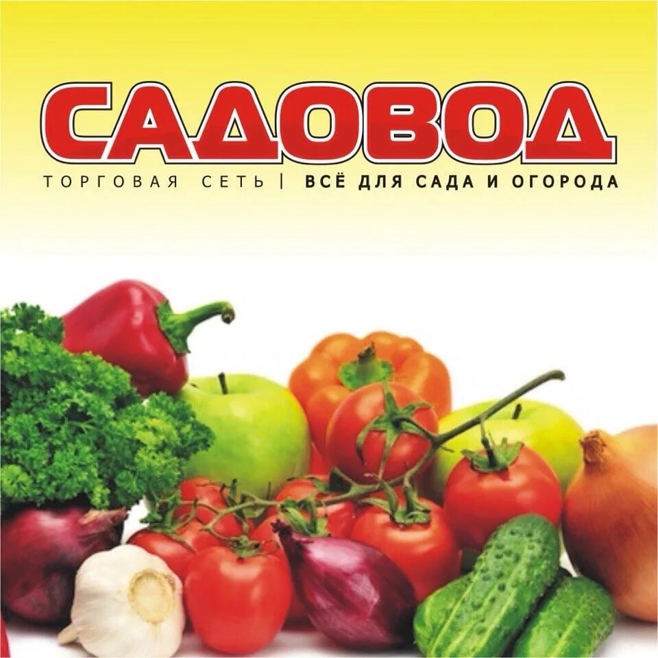 Магазин садовод ярославль. Мега садовод. Садовод куртки женские. Садовод рынок в москве. Линии на садоводе в москве схема.