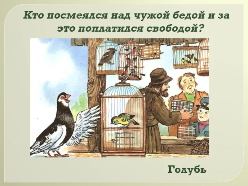 Басня голуби. Чиж и голубь басня. басни ивана крылова чиж и голубя. басня чиж и голубь крылов. басня про голубя.