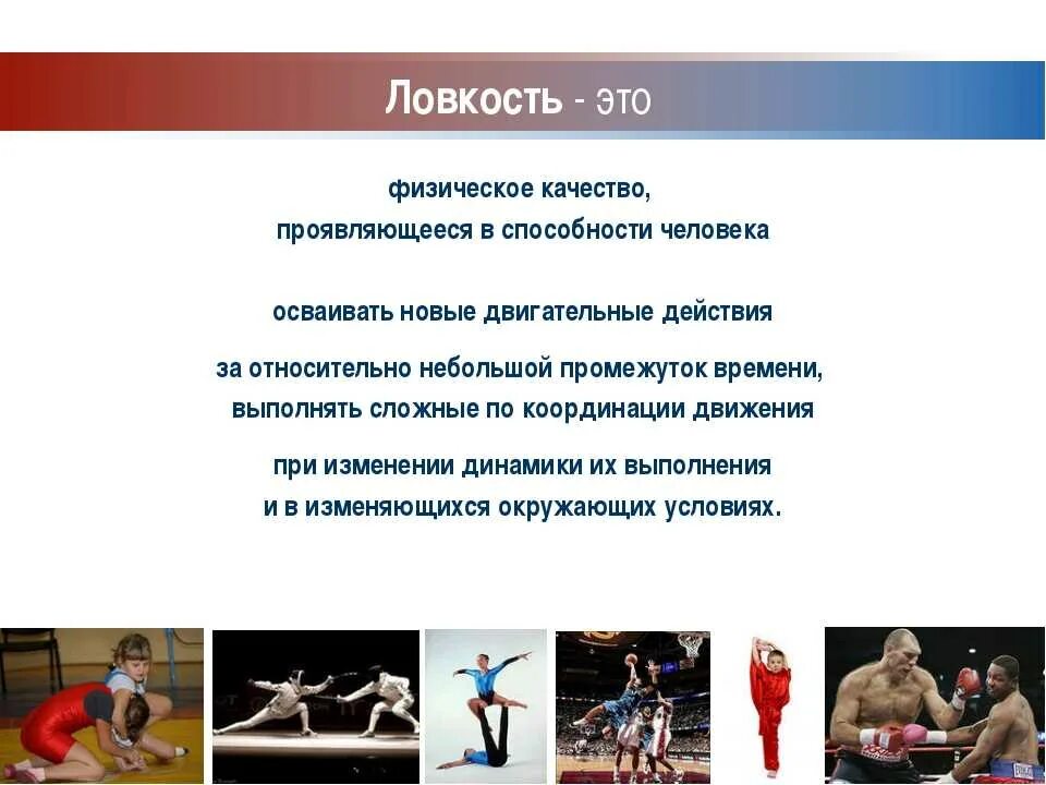 Определение выносливости определение гибкости