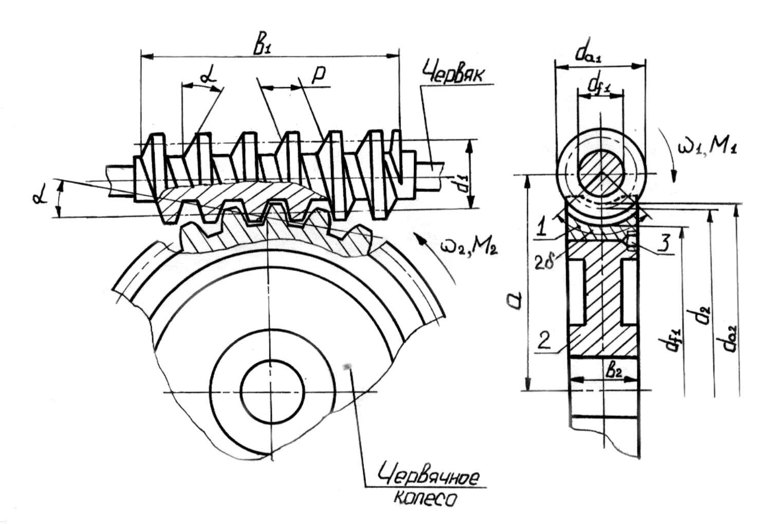 Червячная передача ИЖ 250. Чертёж колеса червячной передачи. Червячная зубчатая передача схема. Червячная глобоидная передача чертеж.