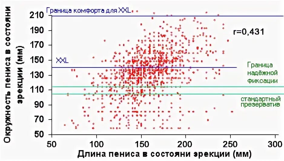 Средний размер члена у мужчин в россии. Размер члена статистика. Статистика средней длины члена. Статистика толщина пениса. Статистика длины члена по странам.