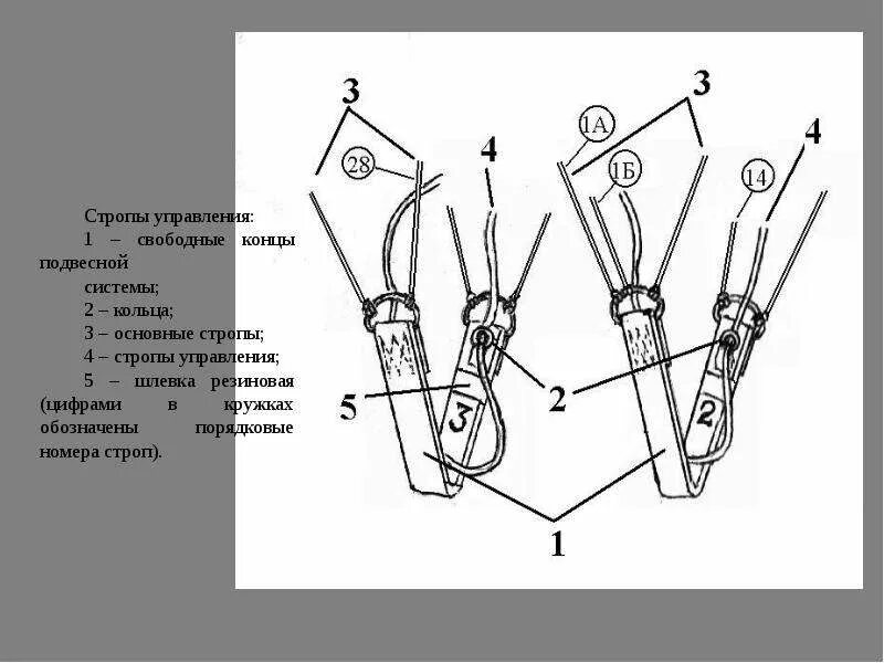 Ттх парашютов. Парашют д6 стропы управления. Стропы управления д6 схема. Стабилизирующая система парашюта д 6. Стропы д 10