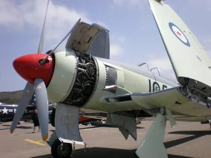 Sea fury