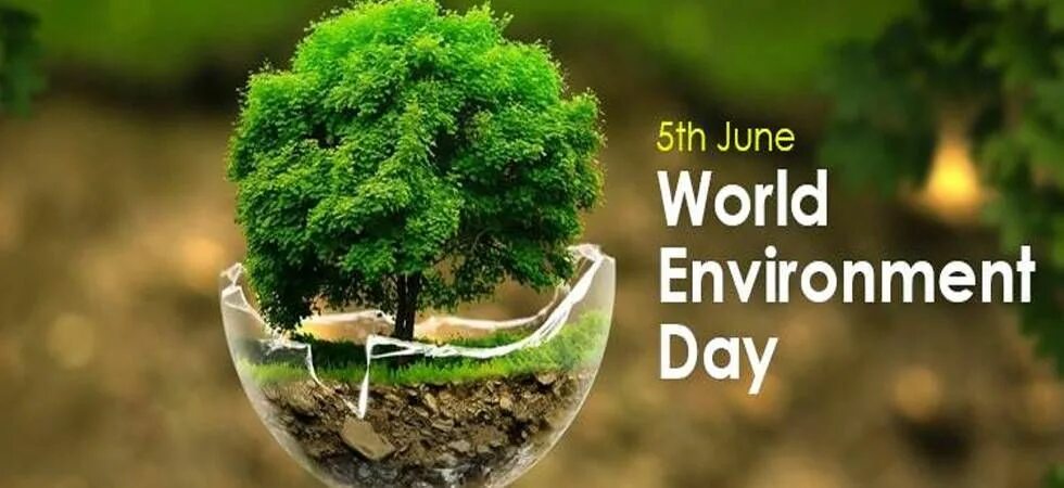 Environment day. World environment day. 5 june world environment day. world day of protection of environmental. world environment education day.