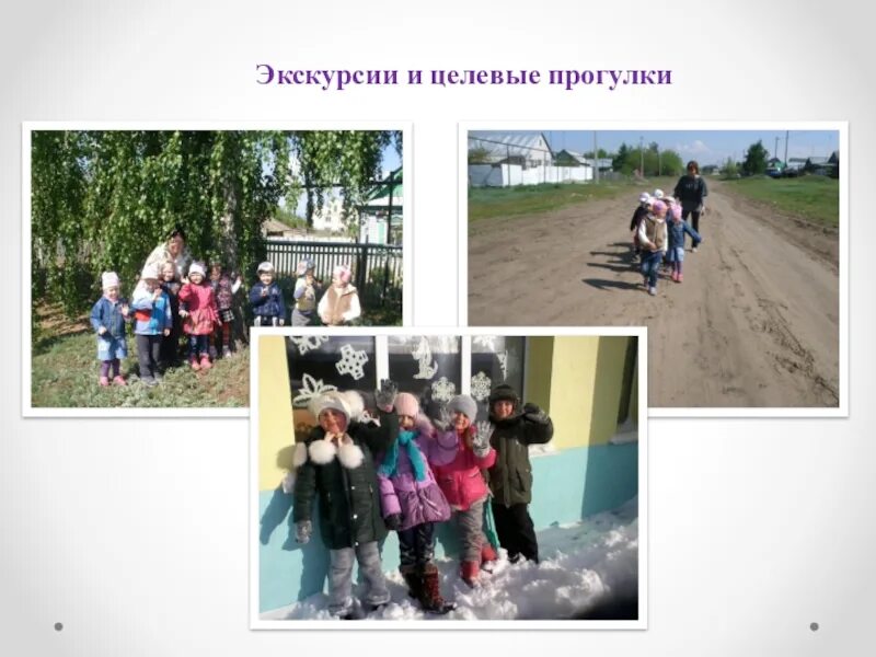 Целевые прогулки в природу. Целевые прогулки в природу
