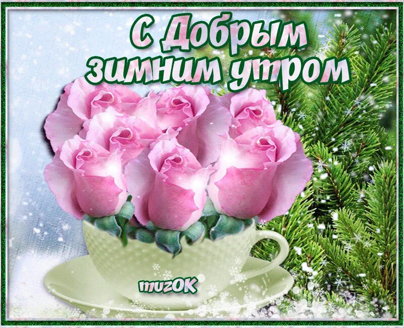 С добрым зимним утром вторника картинки. Доброе зимнее утро. букеты цветов с добрым утром зимние. доброе зимнее утро с розами. розы зимой с добрым утром.