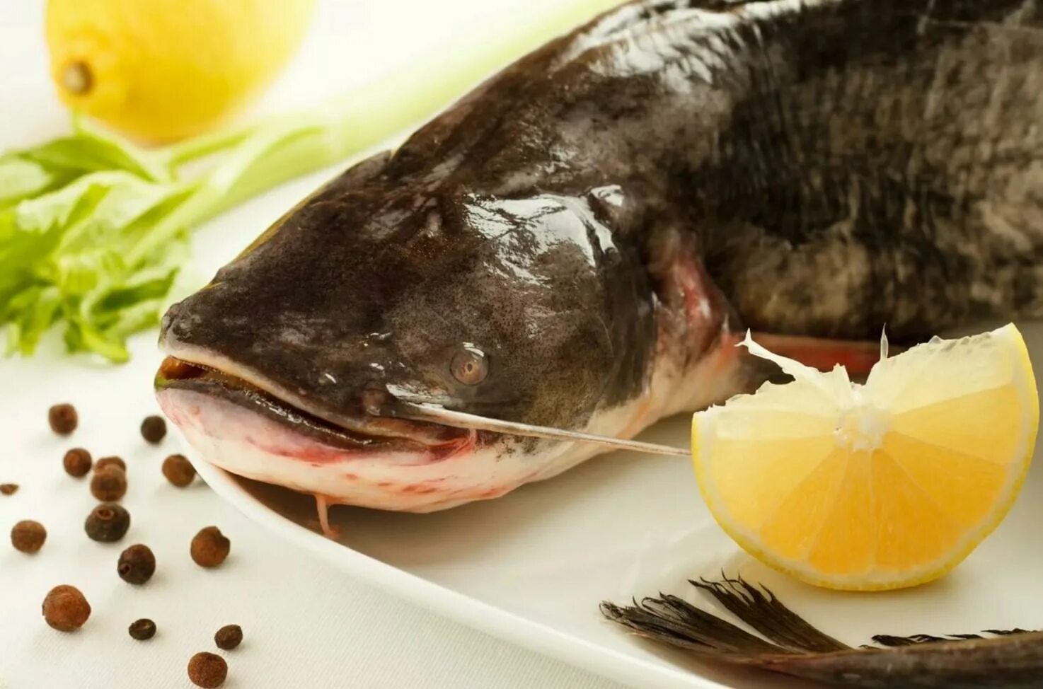 Блюда из сома рецепты