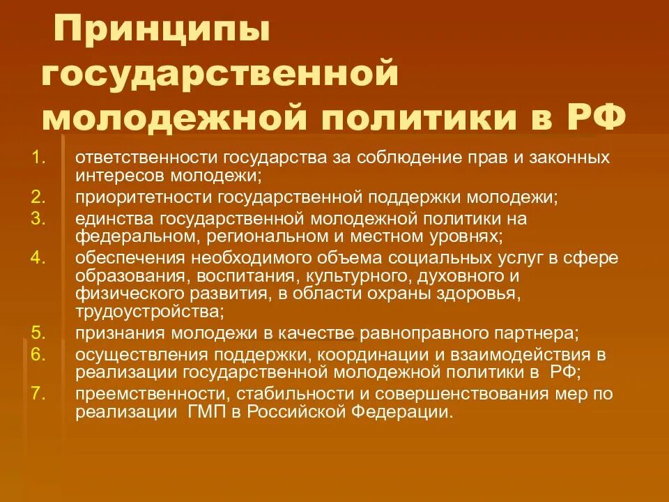 Назвать основные принципы государства. Принципы молодежной политики. Принципы молодежной политики в РФ. Основные принципы реализации молодежной политики. Основные принципы государственной молодежной политики.