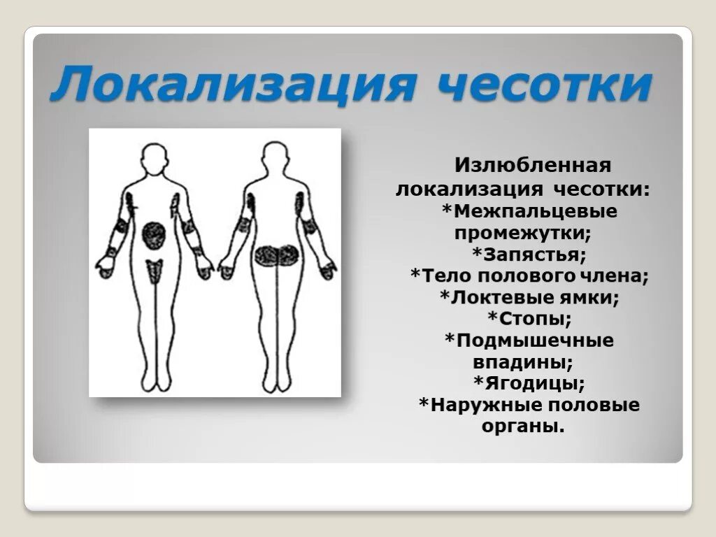 Чесотка картинки у человека фото - ViktoriaFoto.ru