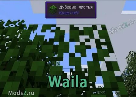 Waila 1.7 10