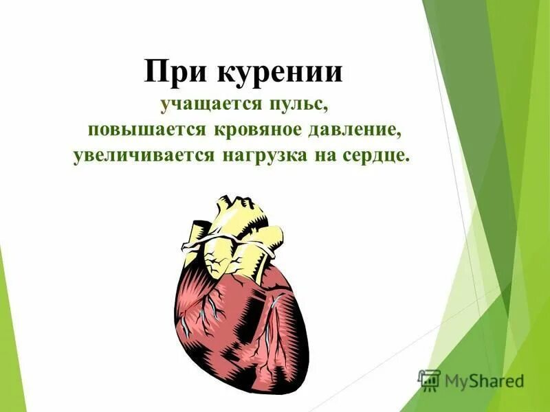 пульс курильщика