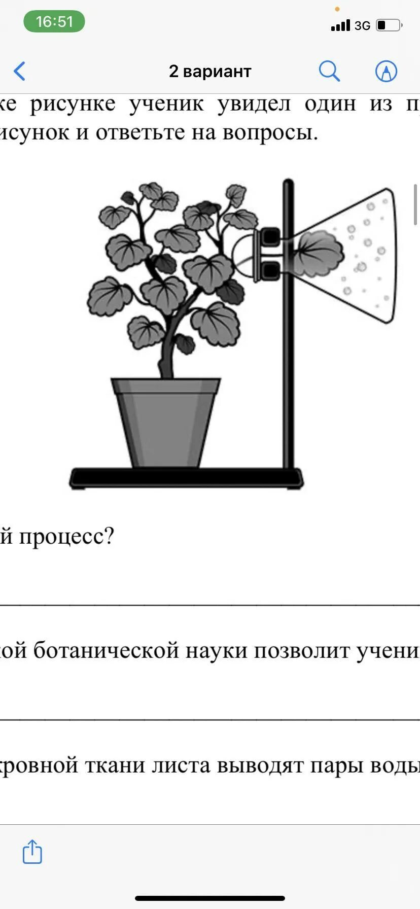 Как называется данный процесс 2 вариант