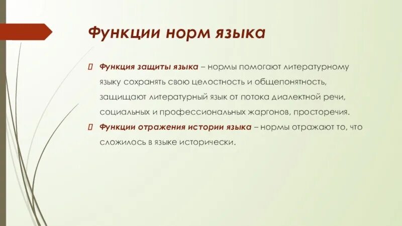 Норма функции примеры. Функции нормы русского литературного языка. Функции норм литературного языка. Функции нормы языка. Языковая норма функции.