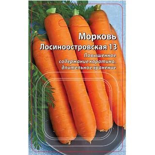 Морковь лосиноостровская отзывы