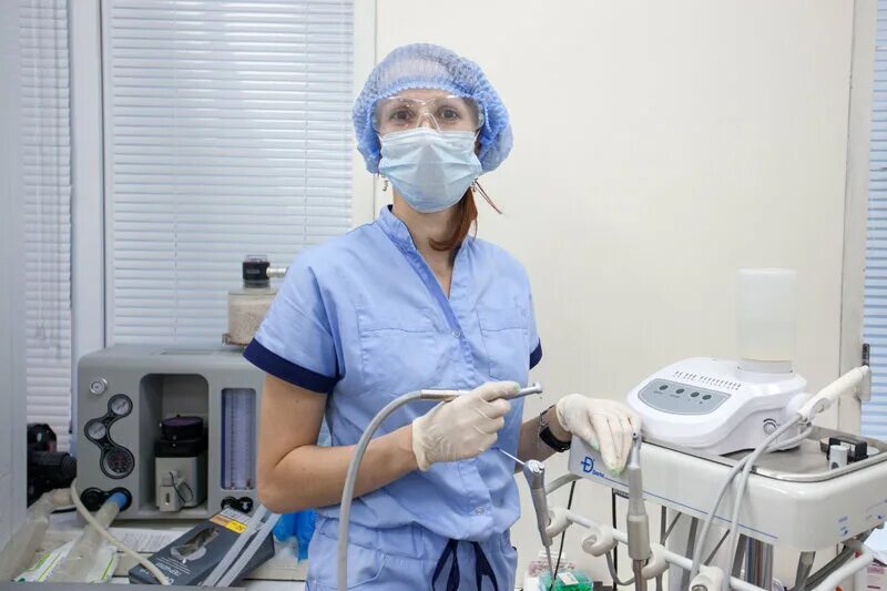 ветеринарная клиника барнаул. ветклиника на московской липецк. калининская ветеринарная лечебница. клиника ветеринарный лазарет краснодар. ветеринарная клиника белово.