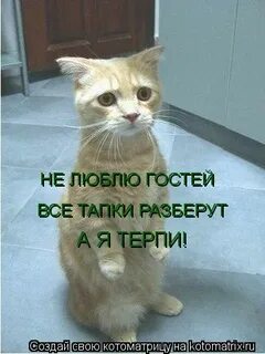 Нравитесь гости