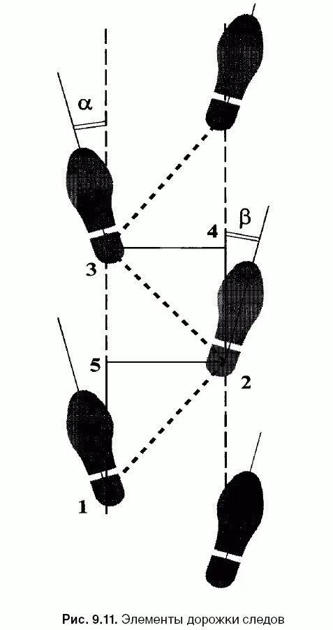 Дорожка следов. Дорожки следов ног человека криминалистика. Дорожка следов обуви криминалистика. Схема дорожки следов криминалистика. Фотоснимок дорожки следов обуви криминалистика.