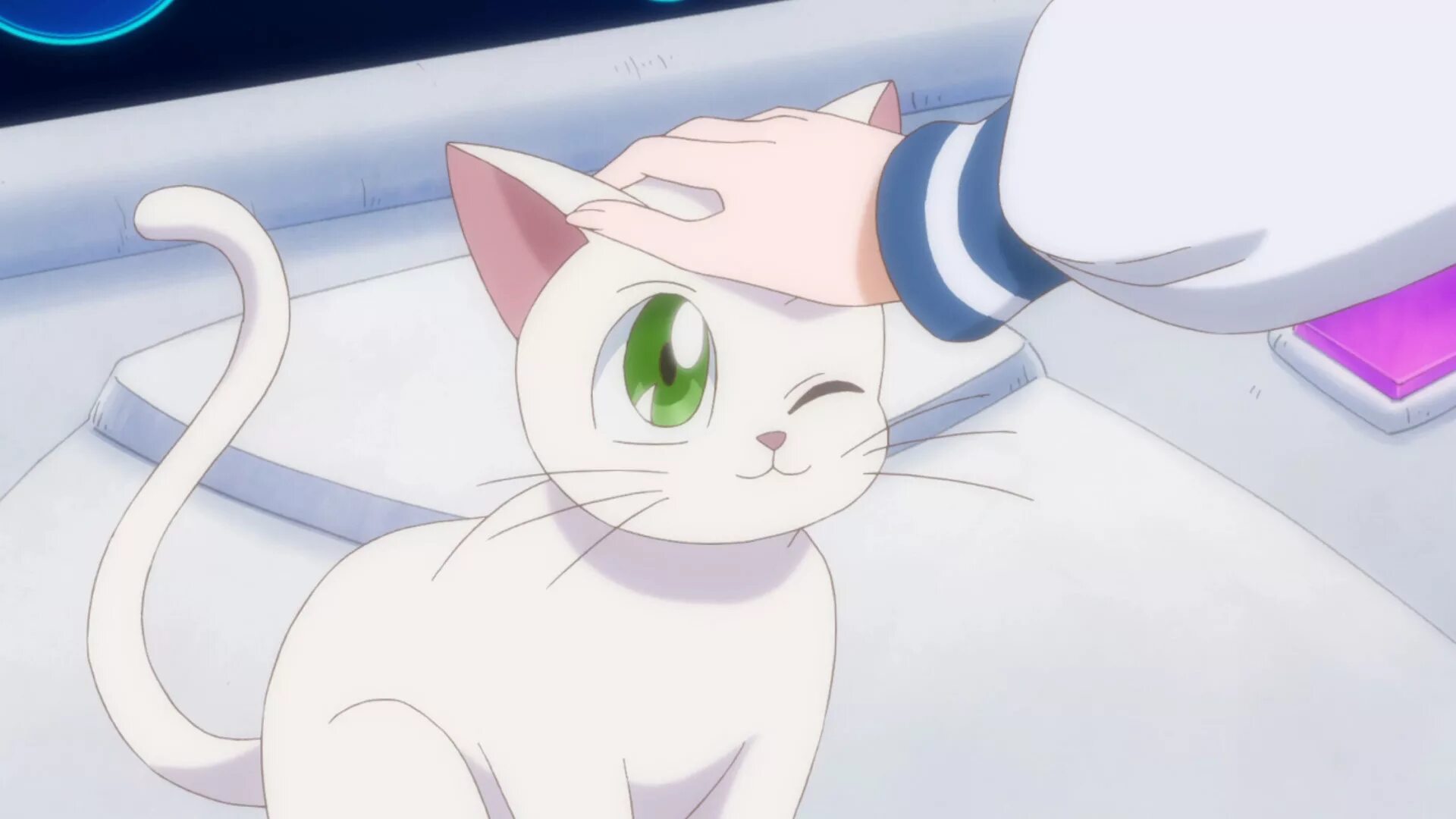Сейлормун кот Артемис. Артемис белый кот. Sailor Moon белая кошка. Artemis Sailor Moon Crystal. Кот муна