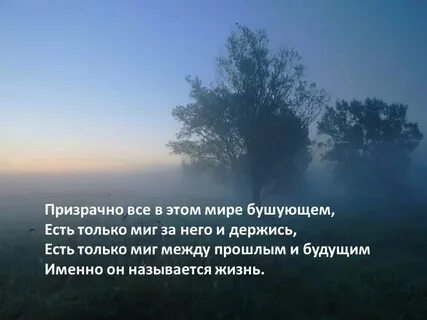 Есть только миг стихи