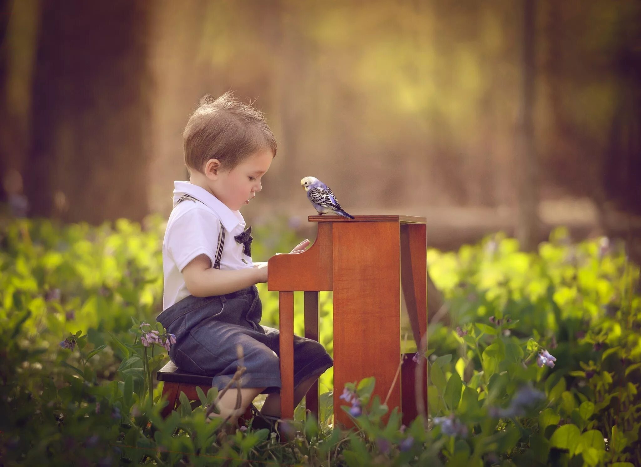 Прислушайся к звучанию. Дети и природа. Птицы для детей. Малыш на природе. Мальчик на природе.