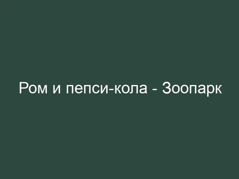 Слова песни кола кола. Ром и пепси-кола зоопарк. Зоопарк выстрелы текст. Группа зоопарк Ром и пепси. Зоопарк выстрелы клип.