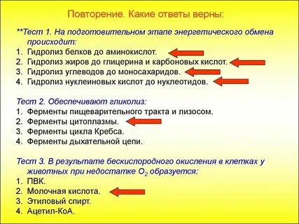 Подготовительный этап в лизосомах