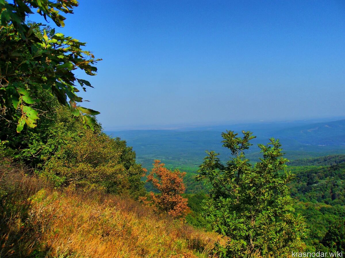 абинск холмская. город абинск. население города абинска краснодарского края. абинск жд вокзал. достопримечательности города абинска.