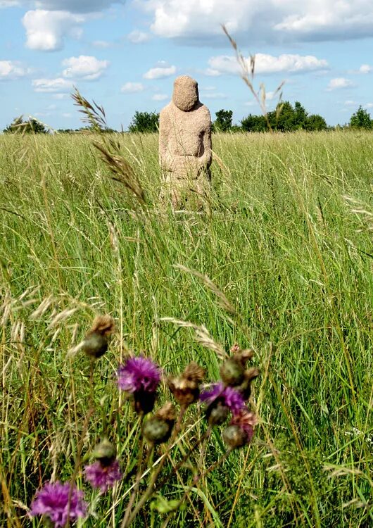 заповедник имени алехина курская область. каменные изваяния (каменные бабы) в алтае. центрально-черноземный заповедник имени алехина. биосферный заповедник имени алехина. стрелецкая степь курск.