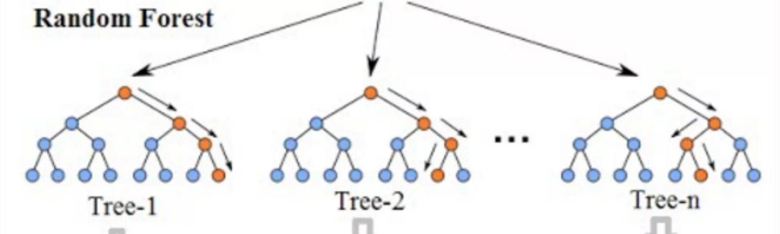 Random forest. Случайный лес random forest это. дерево решений и случайный лес. алгоритм случайный лес. рандом форест.