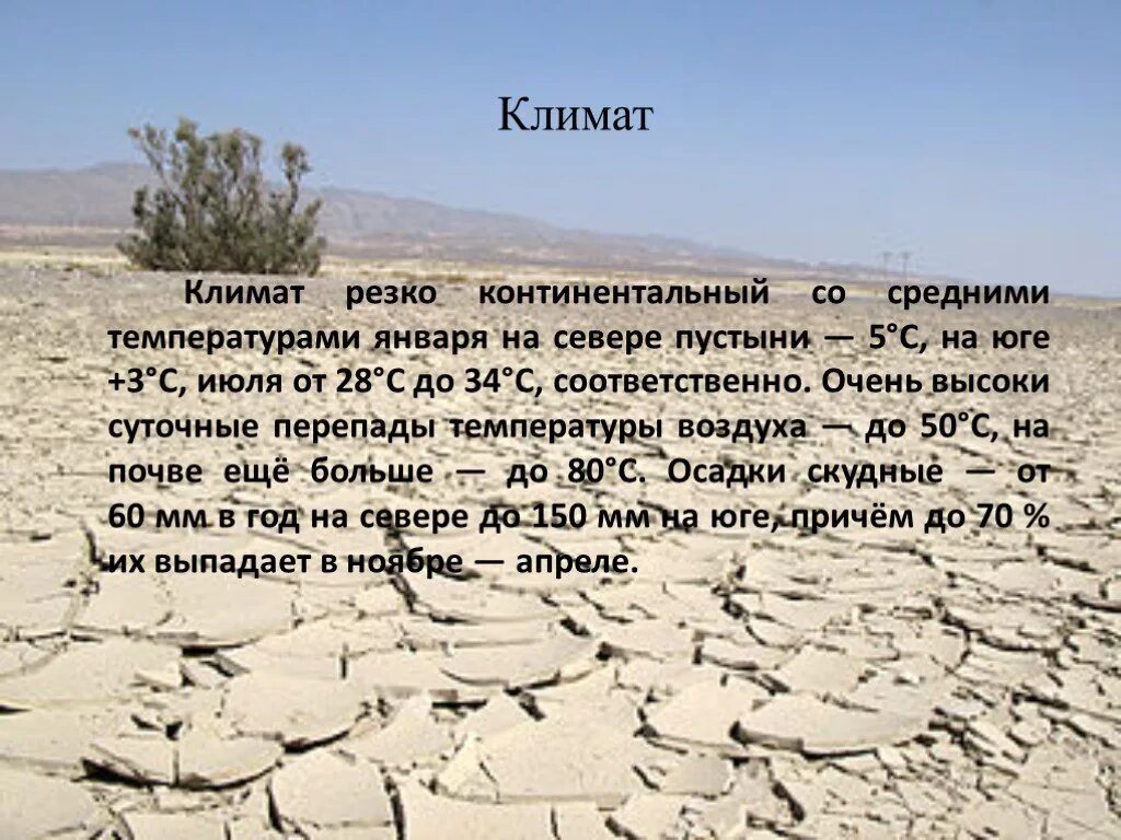 Пустыни и полупустыни средняя температура января и июля в России. Климат пустыни. Температура января и июля в пустынях. Температура в пустынях и полупустынях в январе и июле. Температура летом в полупустынях