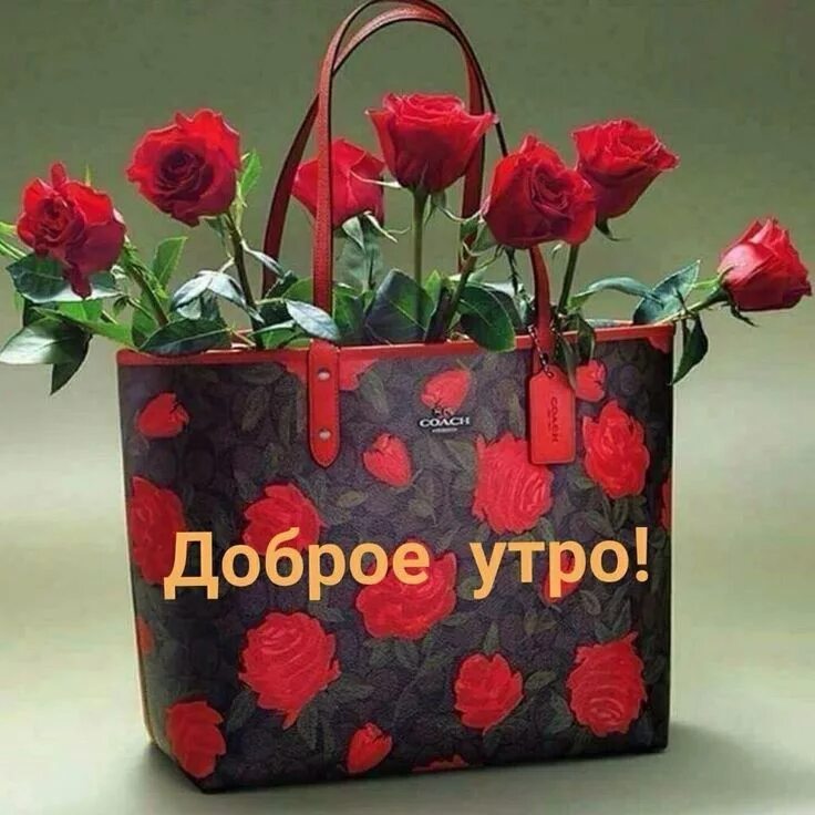 Желаю счастливого утра. Хорошего настроения и удачного дня цветы. Доброе утро с пожеланиями счастья. Цветы в сумочке. Доброе утро счастья вам и здоровья.